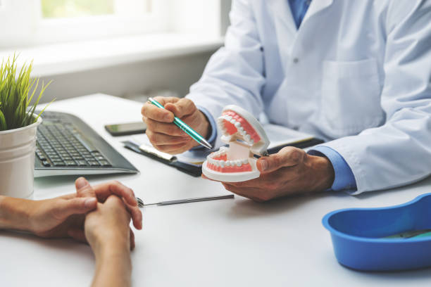 Best Dental Exams and Cleanings  in Fort Llins, CO