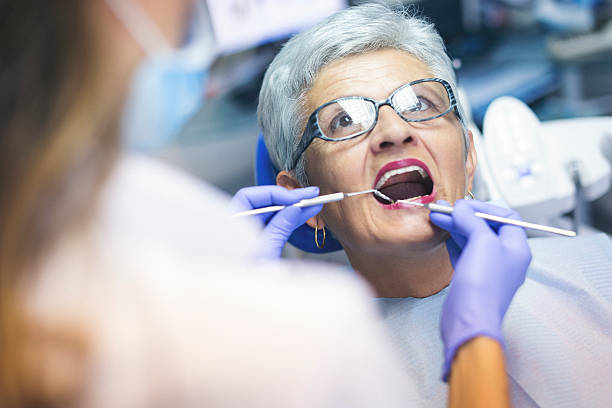 Fort Collins, CO  Holistic Dental Services Company